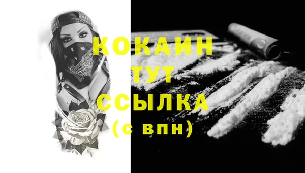 спиды Нефтекумск