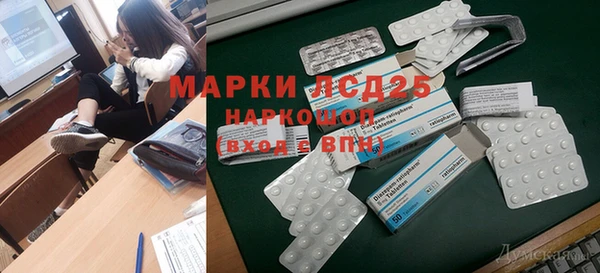 спиды Нефтекумск