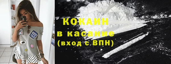 ешки Арсеньев