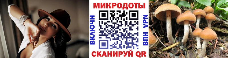 Галлюциногенные грибы ЛСД  Дмитровск 