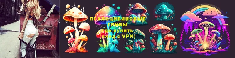 где найти   Дмитровск  Псилоцибиновые грибы Psilocybe 