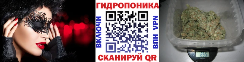МЕГА зеркало Дмитровск Шишки марихуана OG Kush